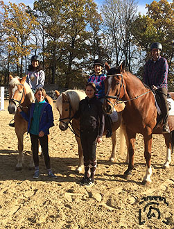 Abreiteplatz-Unterricht Reitanlage Klosterhof-Pillenreuth