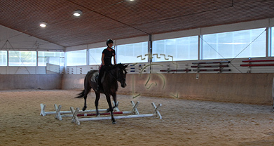 Reitanlage Klosterhof Pillenreuth